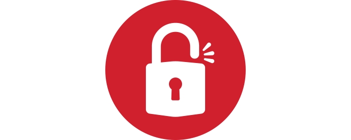 Open Lock Icon