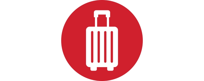 Vacation Luggage Icon