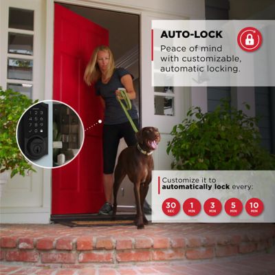 Product EnhancedGalleryImage - kw-smart-code-270-art-514-gallery-autolock